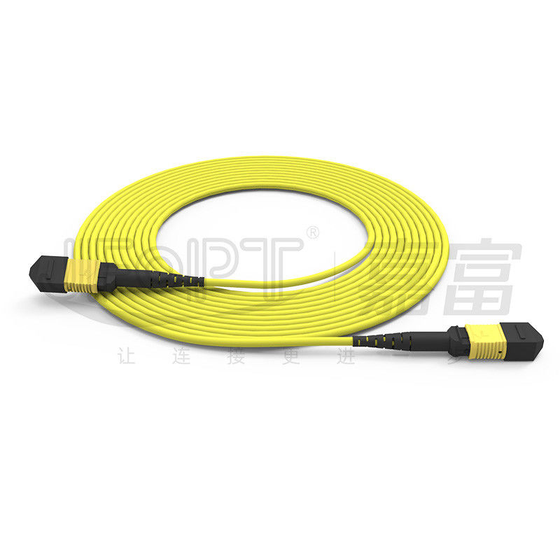 12-Core MPO Trunk Cable Patch Cord Single-Mode G657A1/G657A2 3.0 LSZH A/B معکوس قطبی
