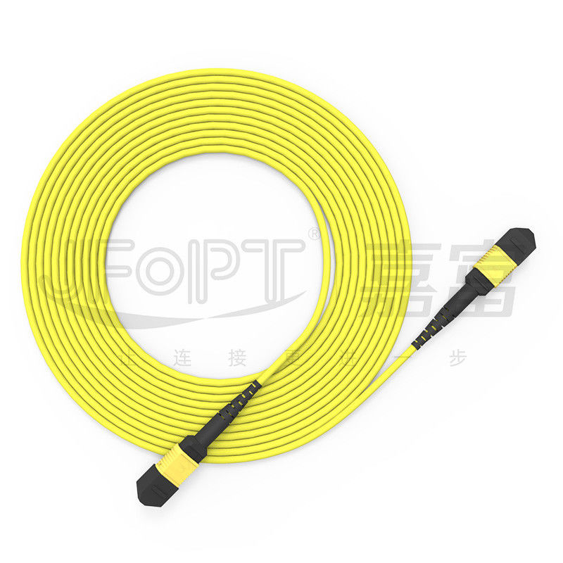 12-Core MPO Trunk Cable Patch Cord Single-Mode G657A1/G657A2 3.0 LSZH A/B معکوس قطبی