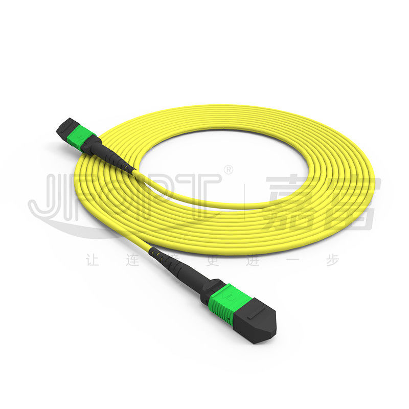 24-Core Single-Mode MPO Trunk Cable G657A1/G657A2 بازنده ستون فقرات